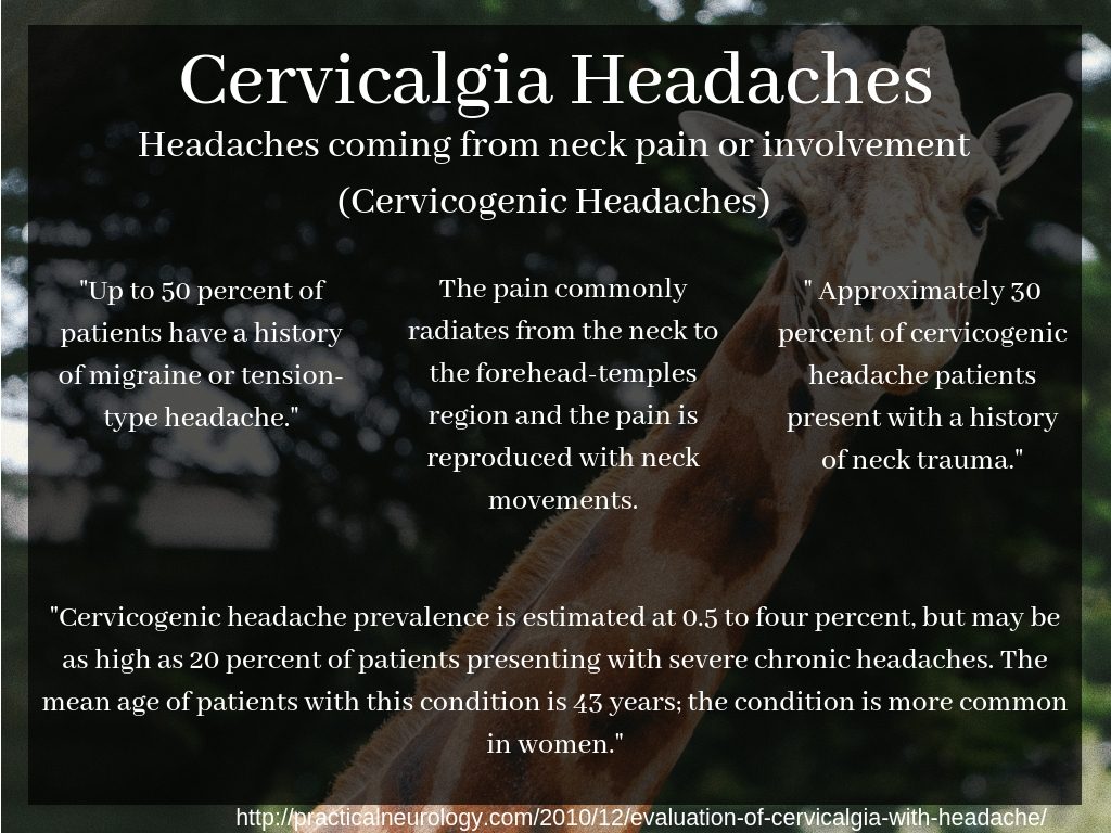 Cervicalgia Headaches exercises treatments Infographic